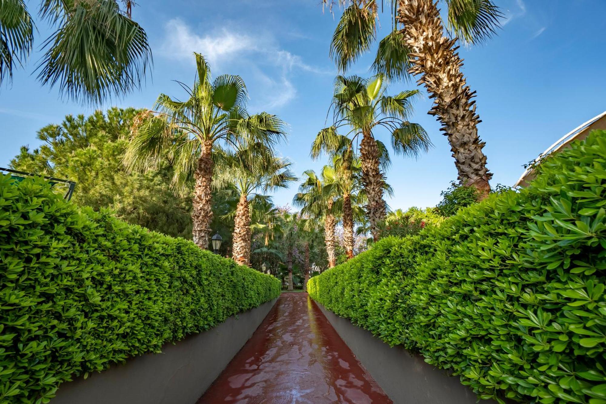 Side Breeze Hotel Antalya Exteriör bild